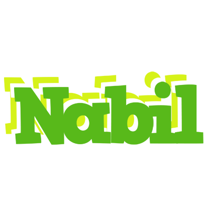 Nabil picnic logo