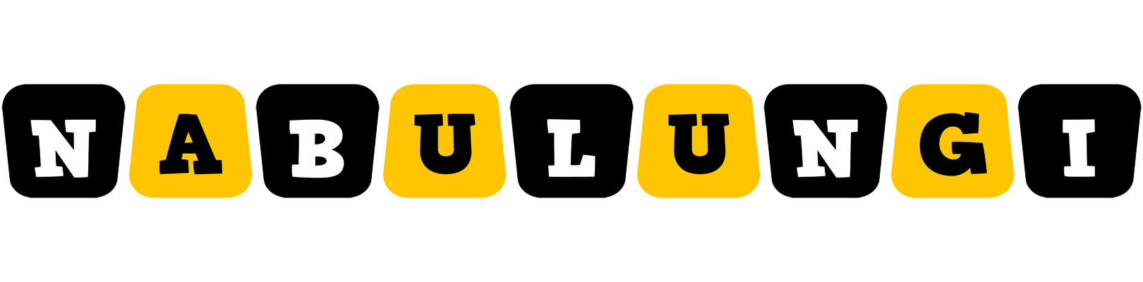 Nabulungi boots logo
