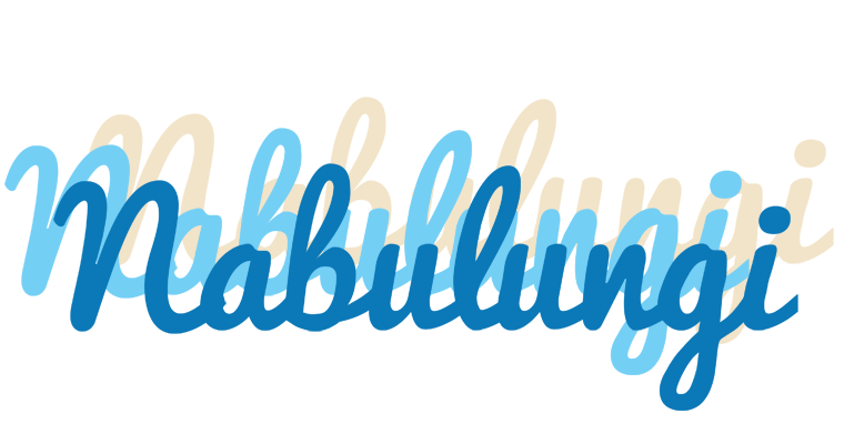 Nabulungi breeze logo
