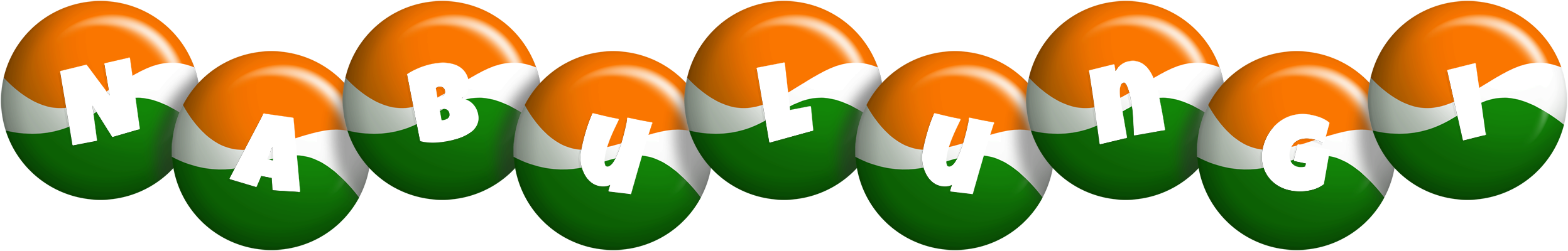 Nabulungi india logo