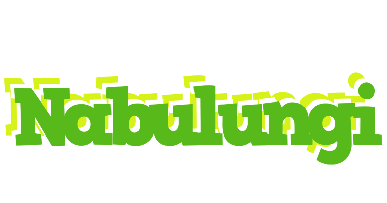Nabulungi picnic logo