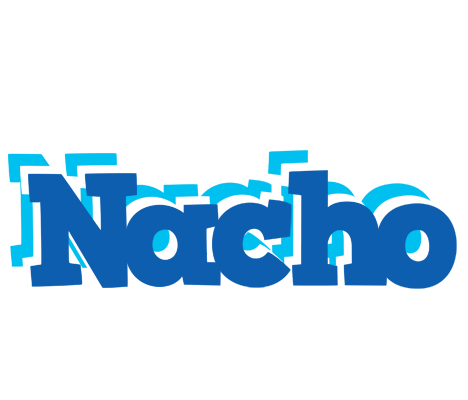 Nacho business logo