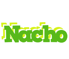 Nacho picnic logo