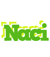 Naci picnic logo