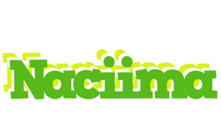 Naciima picnic logo