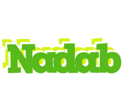 Nadab picnic logo