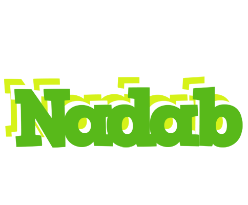 Nadab picnic logo