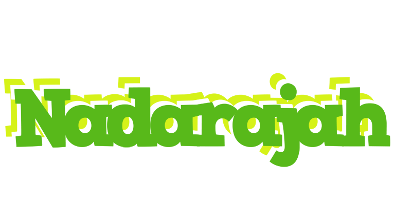 Nadarajah picnic logo