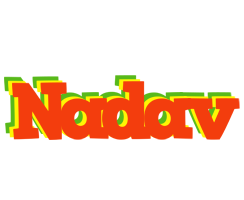 Nadav bbq logo