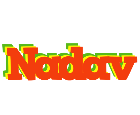 Nadav bbq logo