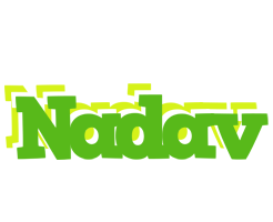 Nadav picnic logo