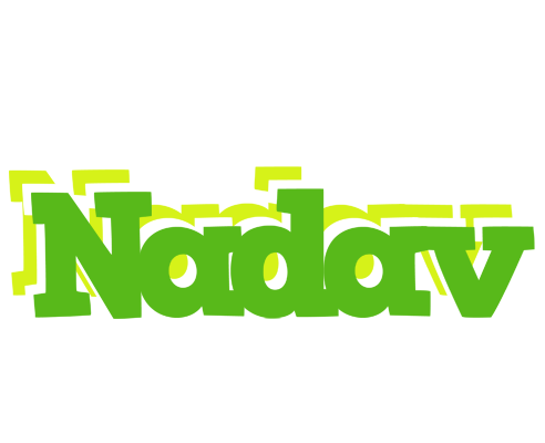 Nadav picnic logo