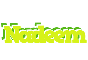 Nadeem citrus logo