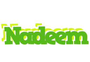 Nadeem picnic logo