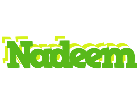 Nadeem picnic logo