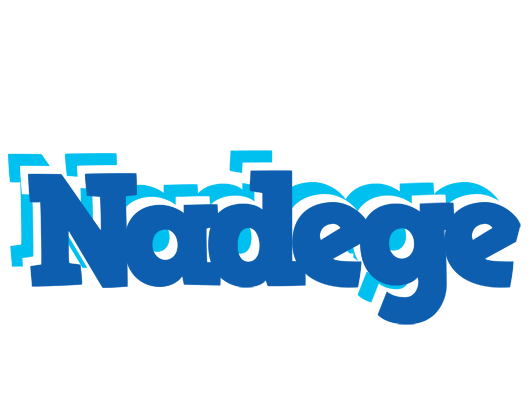 Nadege business logo