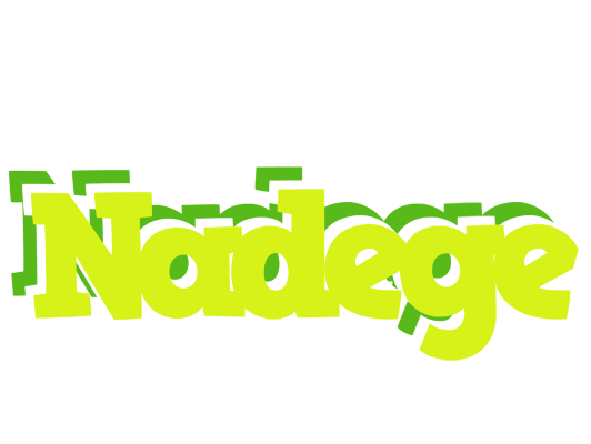 Nadege citrus logo