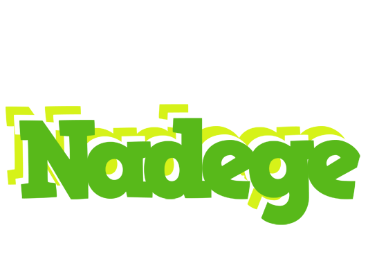 Nadege picnic logo
