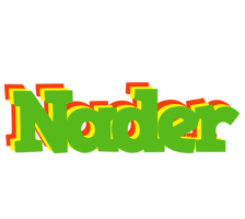 Nader crocodile logo