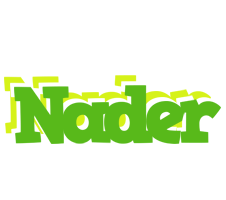 Nader picnic logo