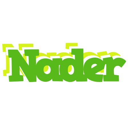 Nader picnic logo