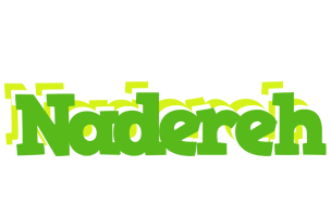 Nadereh picnic logo