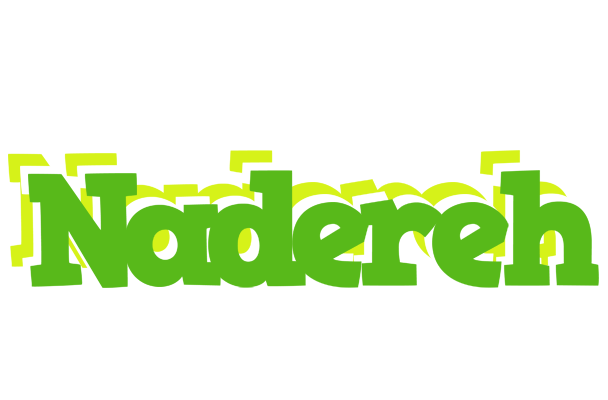 Nadereh picnic logo