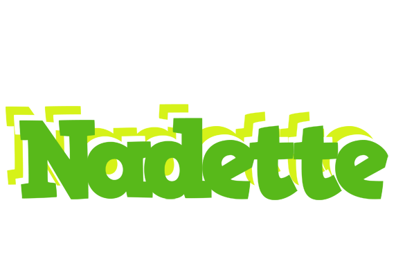 Nadette picnic logo