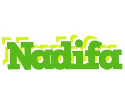 Nadifa picnic logo