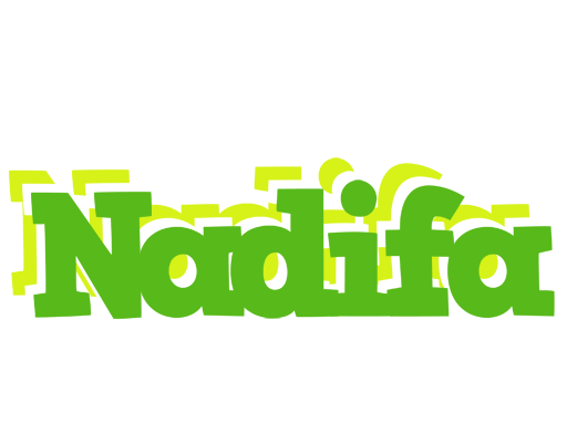 Nadifa picnic logo