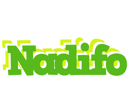 Nadifo picnic logo