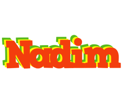 Nadim bbq logo