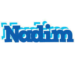 Nadim business logo