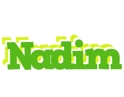 Nadim picnic logo