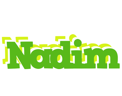 Nadim picnic logo