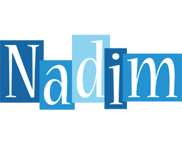Nadim winter logo