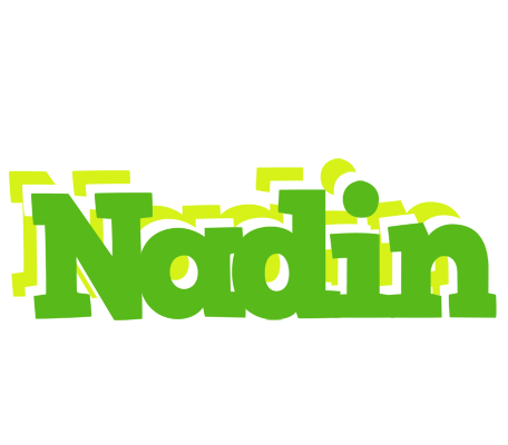 Nadin picnic logo