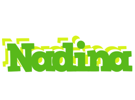 Nadina picnic logo