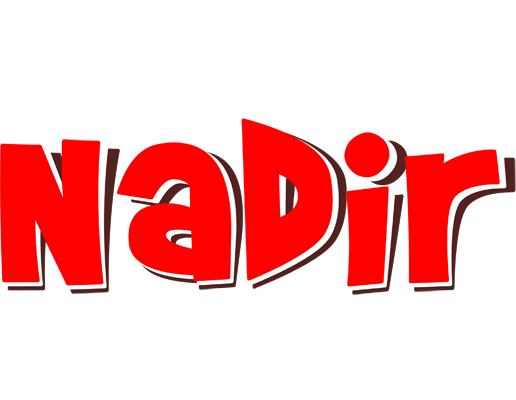 Nadir basket logo