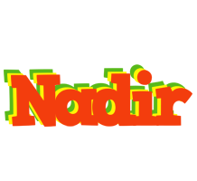 Nadir bbq logo