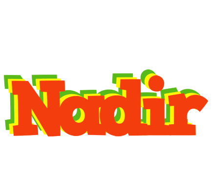 Nadir bbq logo