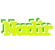 Nadir citrus logo