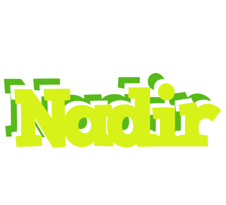 Nadir citrus logo
