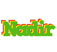 Nadir crocodile logo