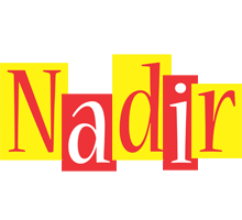 Nadir errors logo