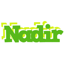 Nadir picnic logo