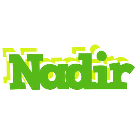 Nadir picnic logo