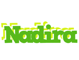 Nadira picnic logo