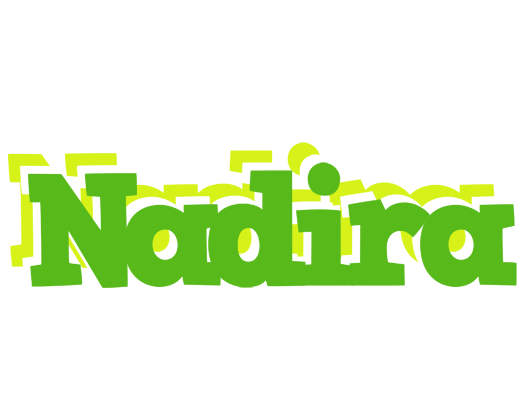 Nadira picnic logo