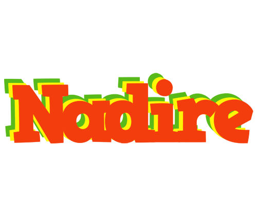 Nadire bbq logo